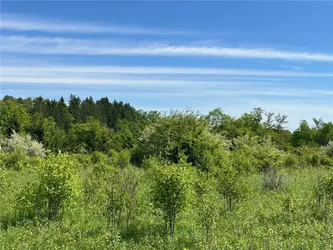 0 Fair View Rd, Centerville, NY 14060 photo 10
