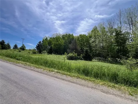 0 Fair View Rd, Centerville, NY 14060 photo 11