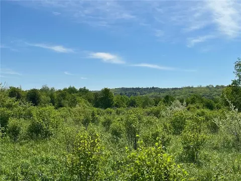 0 Fair View Rd, Centerville, NY 14060 photo 5