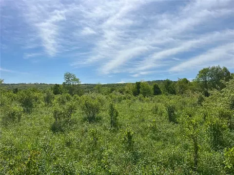 0 Fair View Rd, Centerville, NY 14060 photo 7
