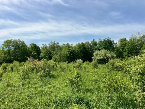 0 Fair View Rd, Centerville, NY 14060 photo 9