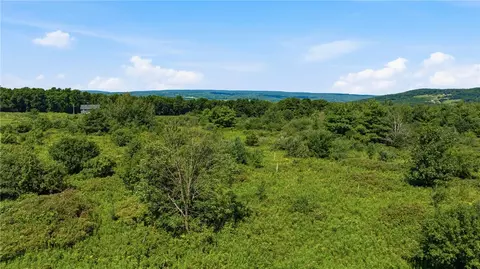 Skyline Drive, Jerusalem, NY 14527 photo 10