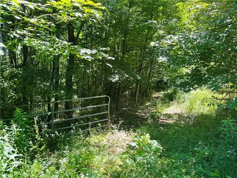 287 Dirt Rd, Delhi, NY 13752
