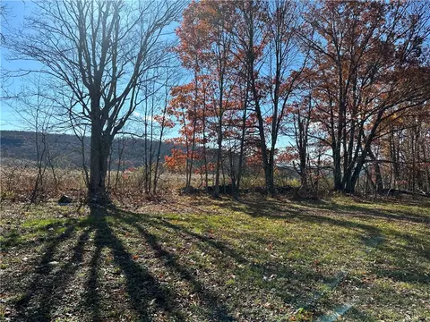 12522 State Highway 206, Walton, NY 13860