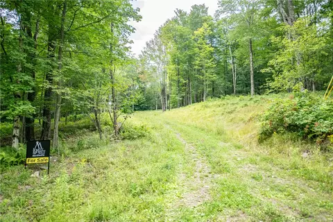 lot8 Beaver Creek Hollow Rd, Andes, NY 13752