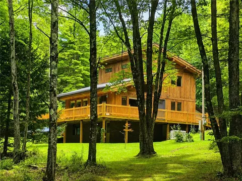 593 Blakesley Nurse Hollow Rd, Afton, NY 13730