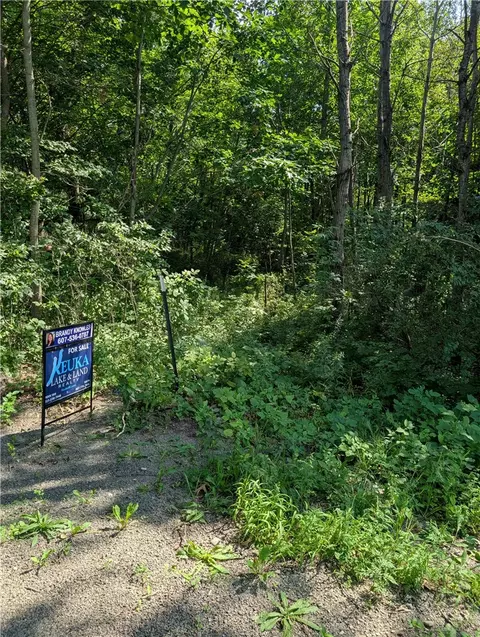 Balcom Road, Erwin, NY 14801
