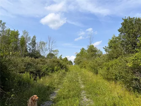 Other - 0 Michigan Rd, Java, NY 14009 photo 5 of 15