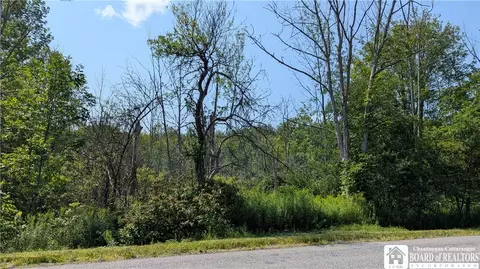 Beech Tree Road, Ashford, NY 14171