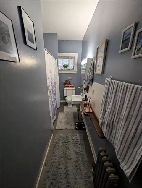 Entry Way - 113 Pine St, Bath, NY 14810 photo 1 of 3