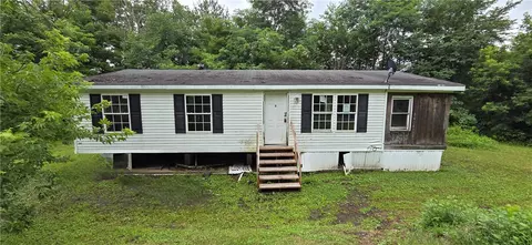 273 Back West Creek Rd, Newark Valley, NY 13811