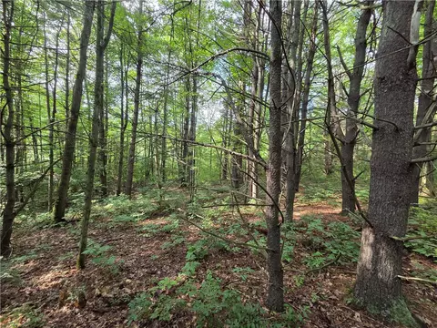 Bunnell Road, Barton, NY 14892 photo 45