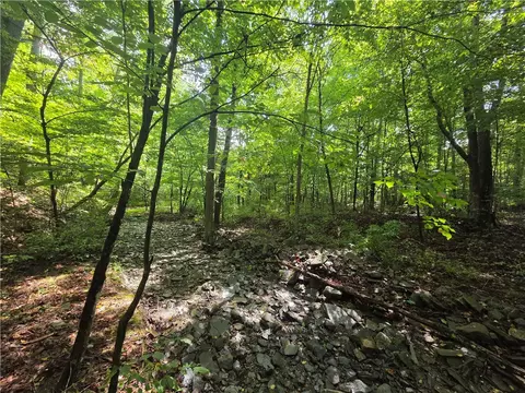 Bunnell Road, Barton, NY 14892 photo 19
