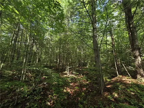 Bunnell Road, Barton, NY 14892 photo 26