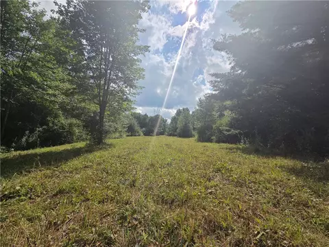 Bunnell Road, Barton, NY 14892 photo 38