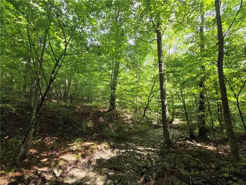 Bunnell Road, Barton, NY 14892 photo 18