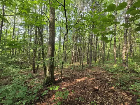 Bunnell Road, Barton, NY 14892 photo 44