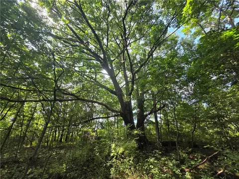 Bunnell Road, Barton, NY 14892 photo 3