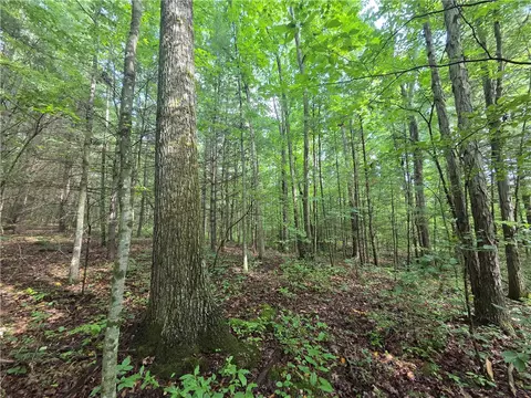 Bunnell Road, Barton, NY 14892 photo 7
