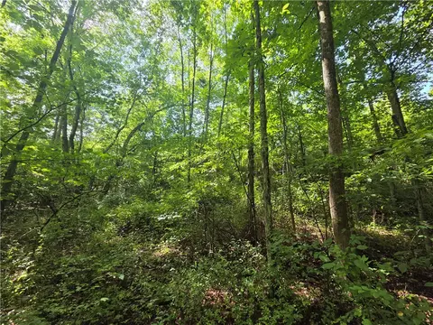 Bunnell Road, Barton, NY 14892 photo 17