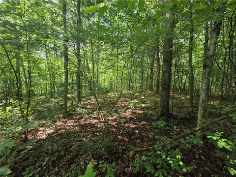 Bunnell Road, Barton, NY 14892 photo 23