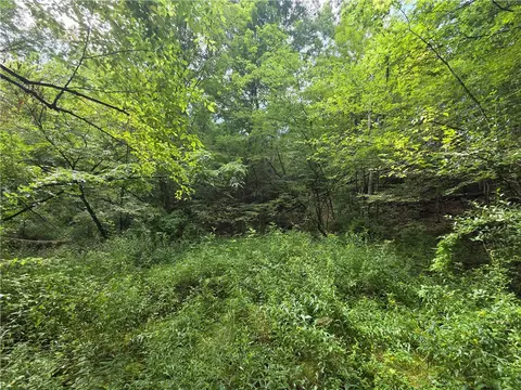 Bunnell Road, Barton, NY 14892 photo 13