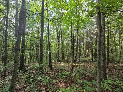 Bunnell Road, Barton, NY 14892 photo 42
