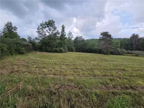 Bunnell Road, Barton, NY 14892 photo 39