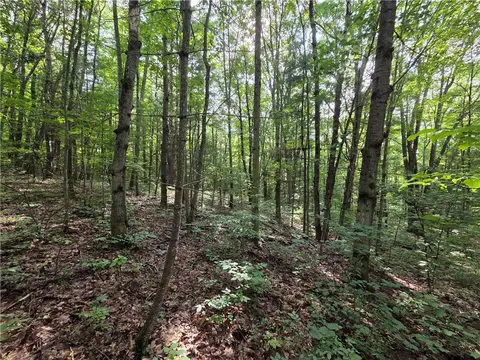 Bunnell Road, Barton, NY 14892 photo 43