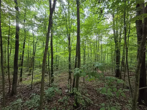 Bunnell Road, Barton, NY 14892 photo 40