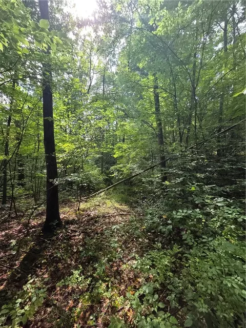 Bunnell Road, Barton, NY 14892 photo 30