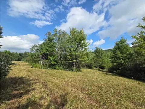 Bunnell Road, Barton, NY 14892 photo 33