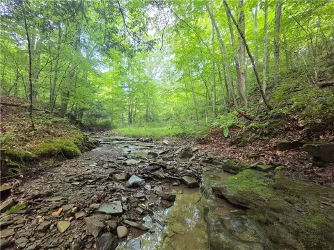 Bunnell Road, Barton, NY 14892 photo 16