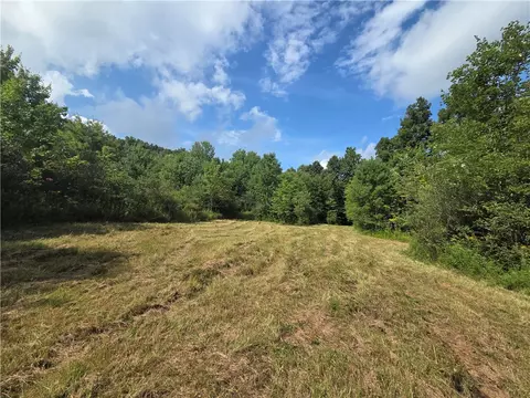 Bunnell Road, Barton, NY 14892 photo 9