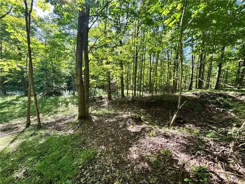 6952 Canadice Hill Rd, Canadice, NY 14560