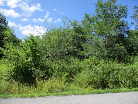 0 Daniels Rd, Plymouth, NY 13844
