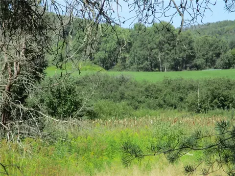 lot1 State Route 80, Smyrna, NY 13464