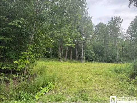 Morgan Hollow Road, Hinsdale, NY 14706
