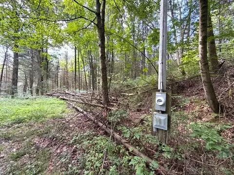 2 Dutton, Clarksville, NY 14727 photo 7