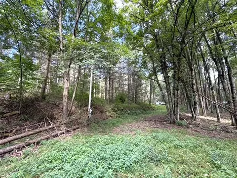 2 Dutton, Clarksville, NY 14727 photo 9