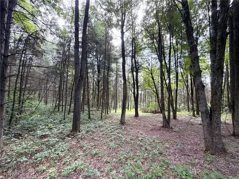 2 Dutton, Clarksville, NY 14727 photo 4