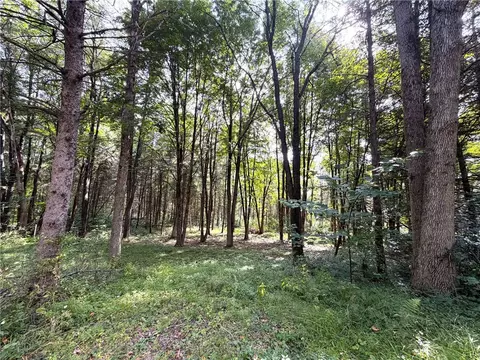 2 Dutton, Clarksville, NY 14727 photo 5