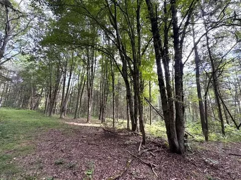 2 Dutton, Clarksville, NY 14727 photo 8