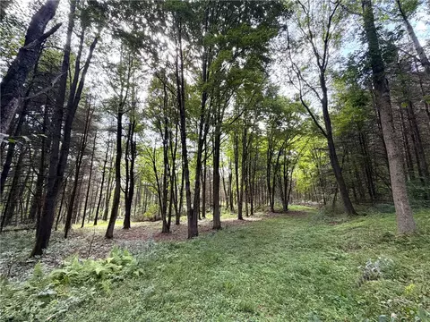 2 Dutton, Clarksville, NY 14727 photo 3