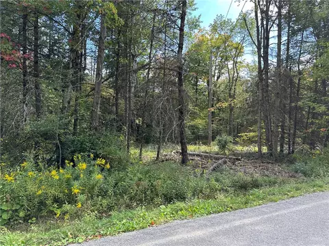 lot7 Mcandrews Rd, Alfred, NY 14806