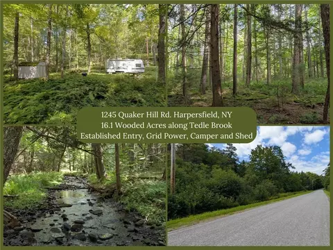 1245 Quaker Hill Rd, Harpersfield, NY 12093