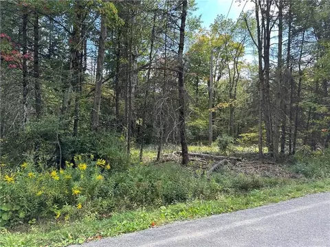 lot7 Mcandrews Rd, Alfred, NY 14806