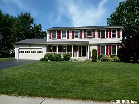19 Snowy Owl, Greece, NY 14612