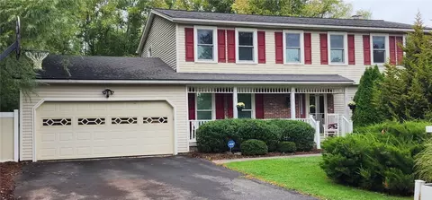 19 Snowy Owl, Greece, NY 14612