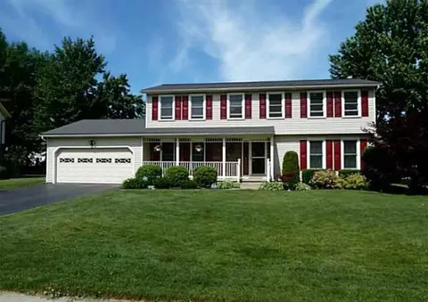 19 Snowy Owl, Greece, NY 14612